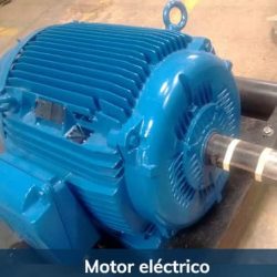 Motor Eléctrico